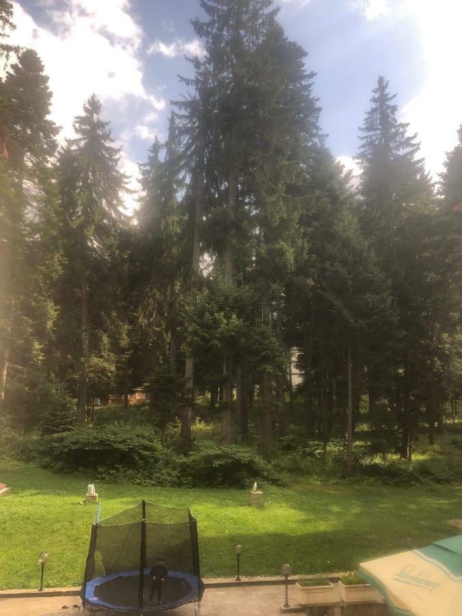 Apartament -villa Park Sv